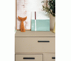 CHALK PAINT CP-29 LINO